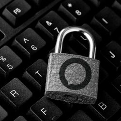 Utilização de senhas fortes em seus serviços de internet Utilização de senhas fortes em seus serviços de internet