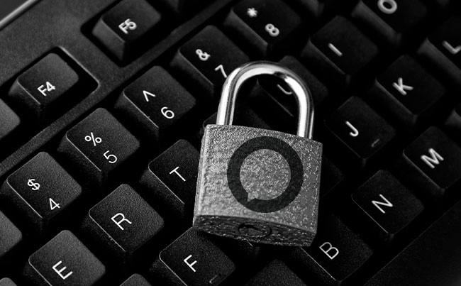 Utilização de senhas fortes em seus serviços de internet